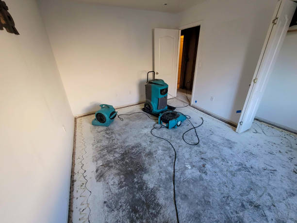 Best Commercial water damage restoration  in Stratmoor, CO