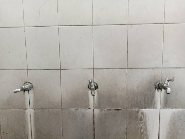 Best Flood restoration services  in Stratmoor, CO
